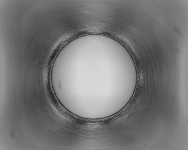 X0000113020686200908271034