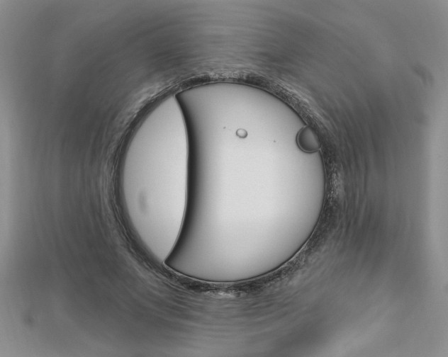 X0000113020687200908271034