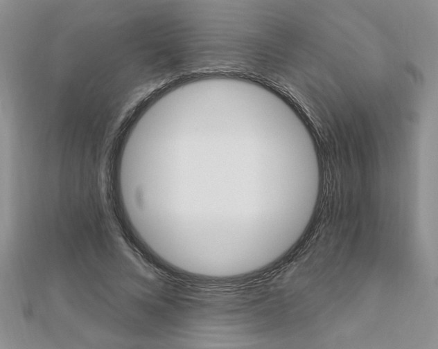 X0000113020688200908271034