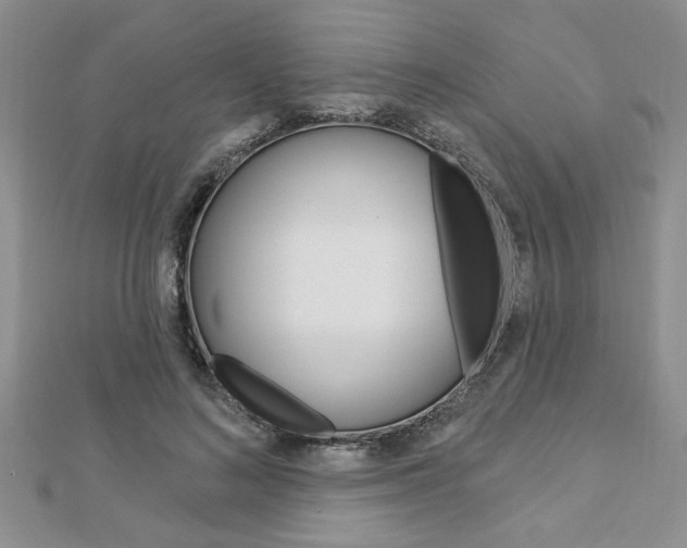 X0000113020692200908271034