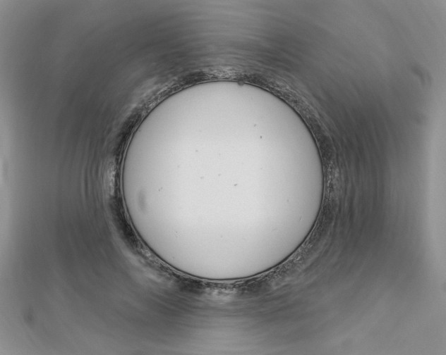 X0000113020694200908271034