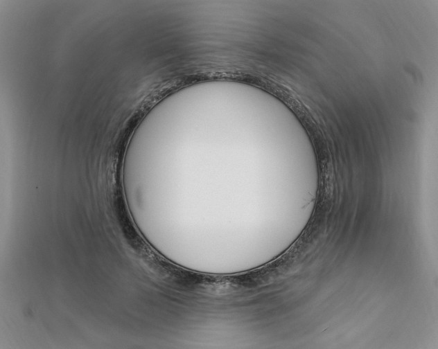 X0000113020695200908271034