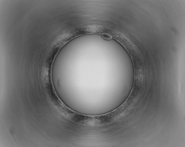 X0000113020696200908271034