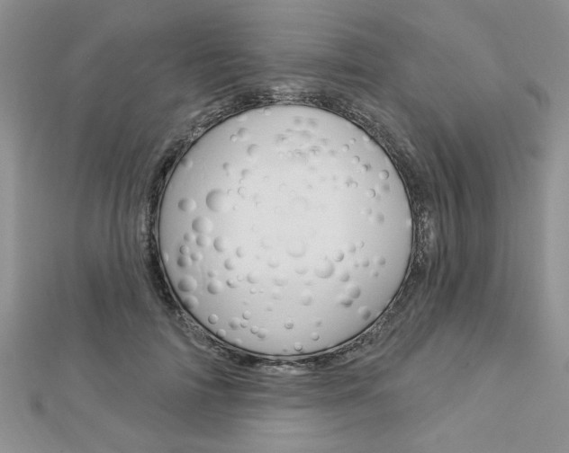 X0000113020698200908271034