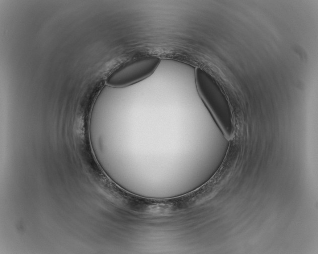 X0000113020700200908271034