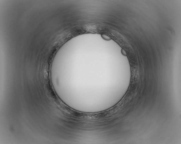 X0000113020702200908271034