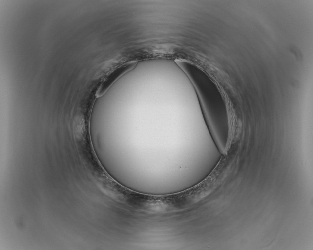 X0000113020704200908271034