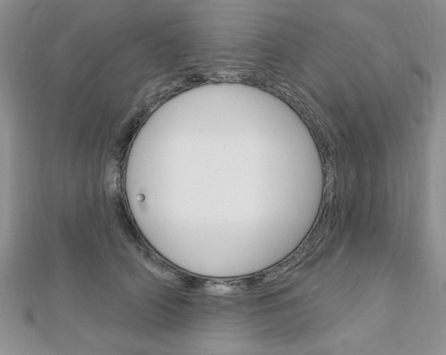 X0000113020706200908271034