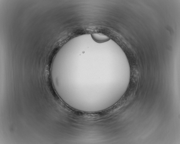 X0000113020707200908271034