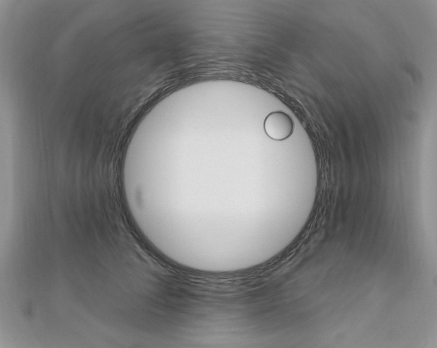 X0000113020708200908271034
