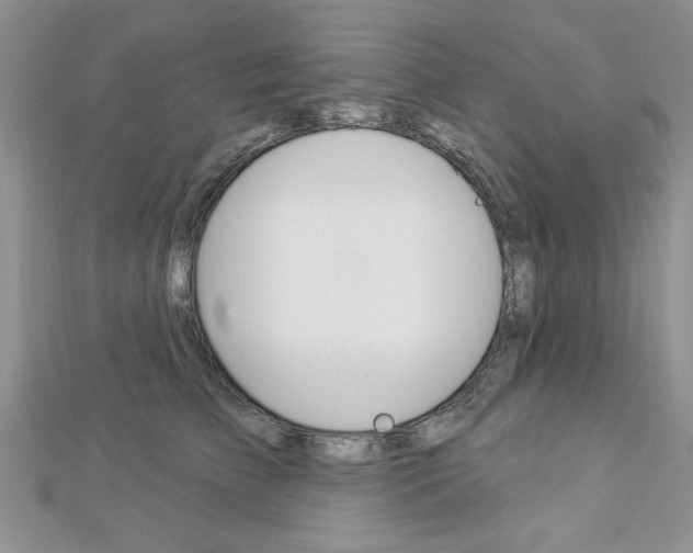 X0000113020709200908271034