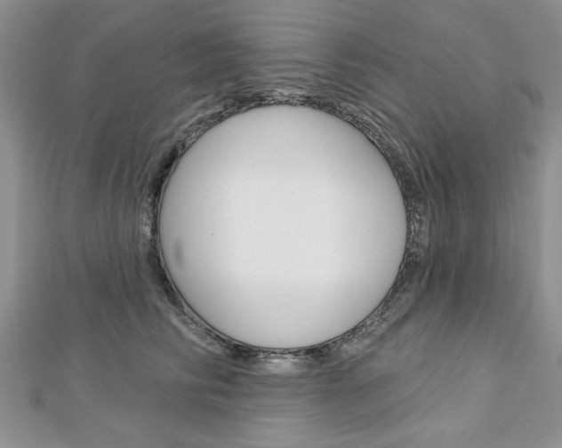 X0000113020710200908271034
