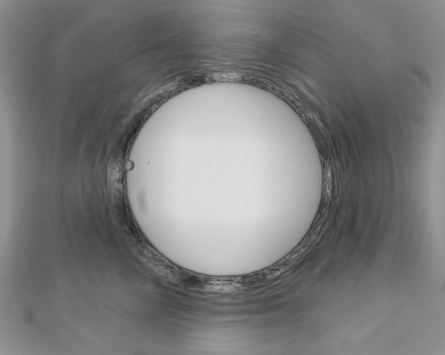 X0000113020714200908271034
