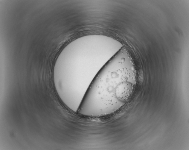 X0000113020715200908271034