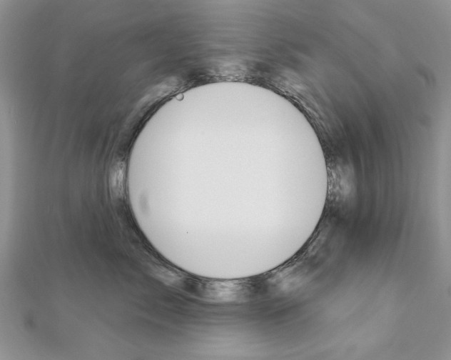 X0000113020717200908271034