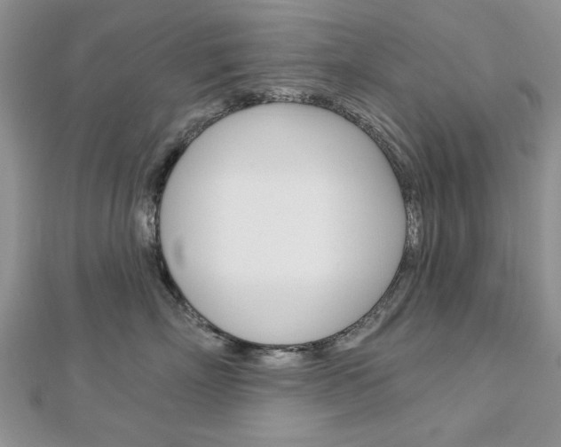 X0000113020718200908271033