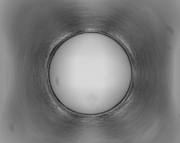 X0000113020721200908271033
