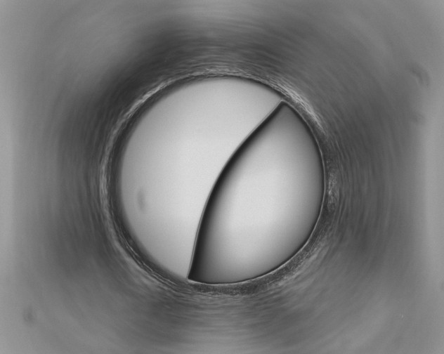 X0000113020722200908271033