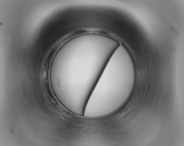 X0000113020723200908271033