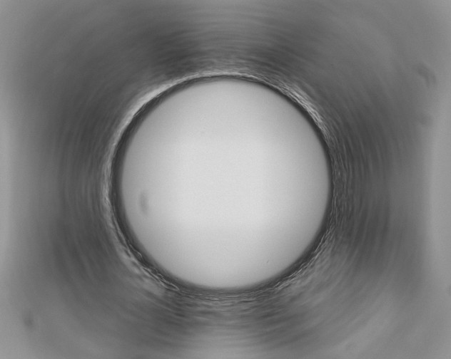 X0000113020724200908271033