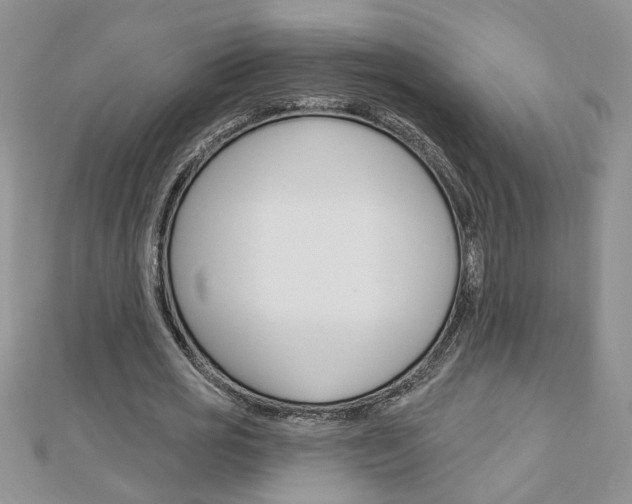 X0000113020725200908271033