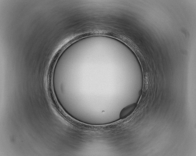 X0000113020726200908271033