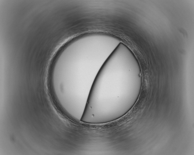 X0000113020728200908271033