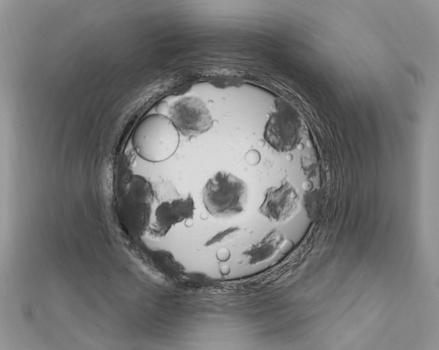 X0000113020729200908271033