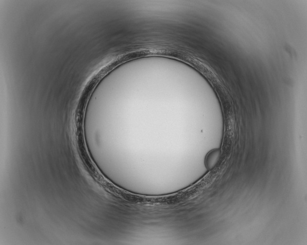 X0000113020730200908271033