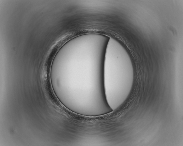 X0000113020731200908271033