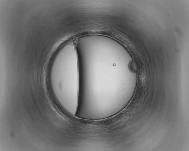 X0000113020732200908271033