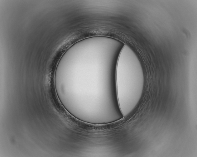 X0000113020735200908271033