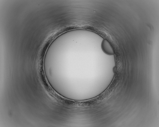 X0000113020736200908271033