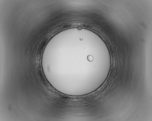 X0000113020737200908271033