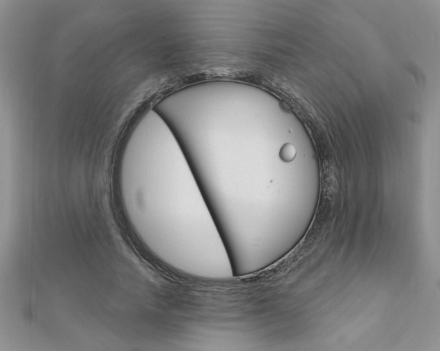 X0000113020738200908271033