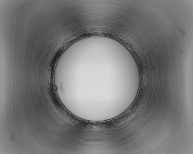 X0000113020739200908271033