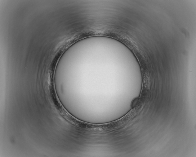 X0000113020740200908271033