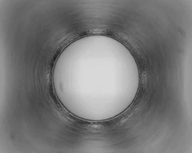 X0000113020741200908271033
