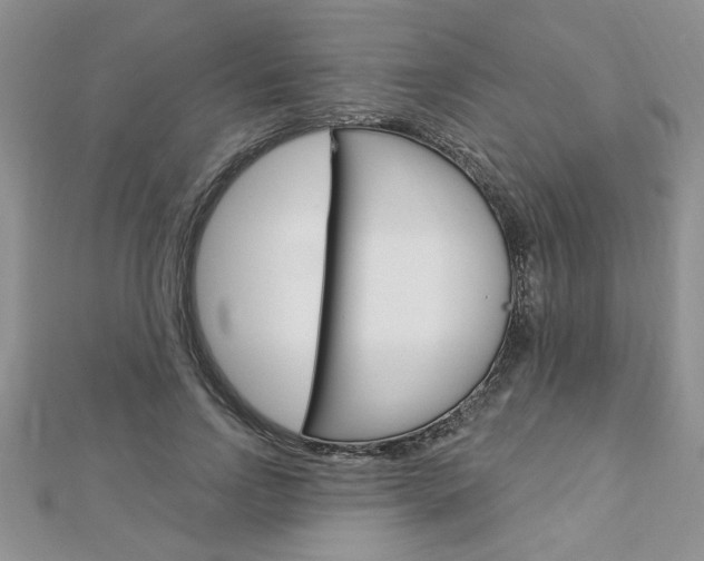 X0000113020742200908271033