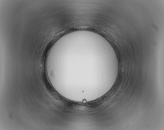 X0000113020743200908271033