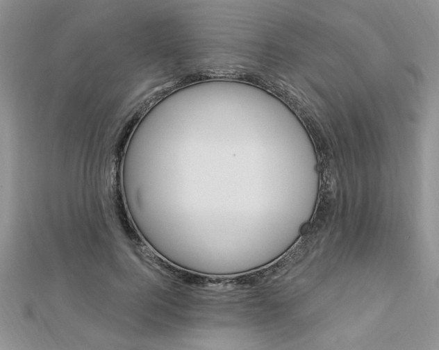 X0000113020744200908271033