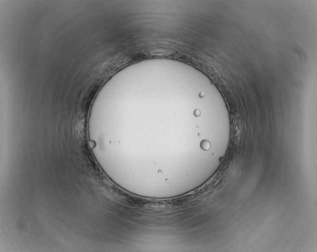 X0000113020745200908271033