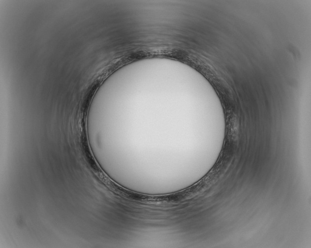 X0000113020746200908271033