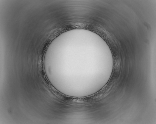 X0000113020749200908271033