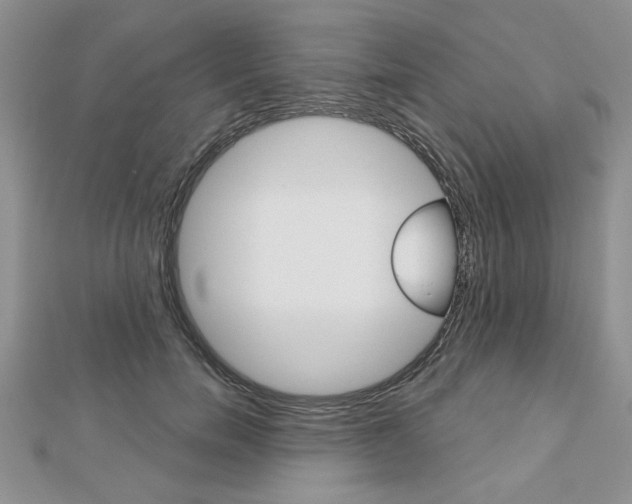 X0000113020750200908271033
