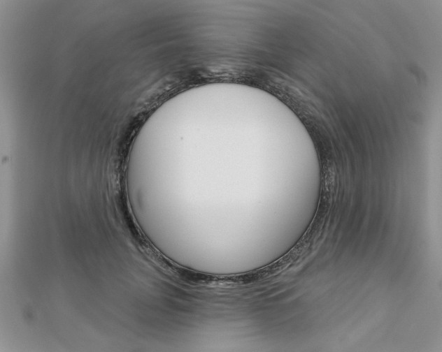 X0000113020751200908271033