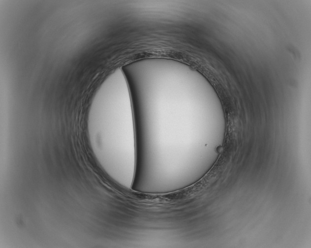 X0000113020752200908271033