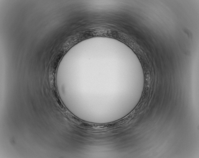 X0000113020753200908271033