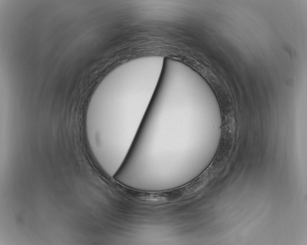 X0000113020754200908271033