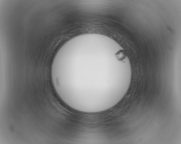 X0000113020756200908271033